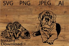 Mastife dog/Mom Mastife/Dog Svg/Png/Jpg/Ai/Vector pet Product Image 1