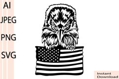 Eagle Svg/Png/Jpg/Ai/Vector birds/American flag with eagle Product Image 1