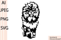 Affenpinscher dog/Dog Svg/Png/Jpg/Ai/Vector purebred breed Product Image 1