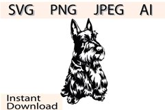 Scottish Terrier Svg/Png/Jpg/Ai/Vector purebred breed Svg Product Image 1