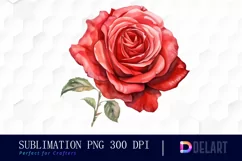 Watercolor Valentine Red Roses Clipart, Illustration PNG Product Image 1
