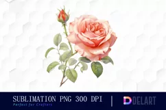 Watercolor Vintage Valentine Rose Clipart, Sublimation Art Product Image 1