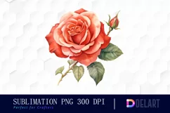 Watercolor Vintage Valentine Rose Clipart, Sublimation Art Product Image 1