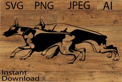 Doberman Bandle dog/Dog Svg/Png/Jpg/Ai/Vector purebred breed Product Image 1