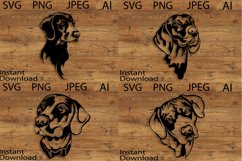 Weimaraner dog Bundle/Dog Svg/Png/Jpg/Ai/Weimaraner dog Cut Product Image 1