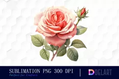 Watercolor Vintage Valentine Rose Clipart, Sublimation Art Product Image 1