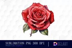 Watercolor Valentine Red Roses Clipart, Illustration PNG Product Image 1
