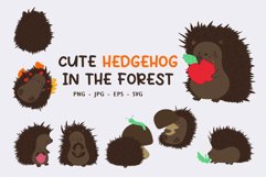 Hedgehog Cute Illustration Set Clipart Product Image 1