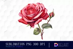 Watercolor Valentine Red Roses Clipart, Illustration PNG Product Image 1