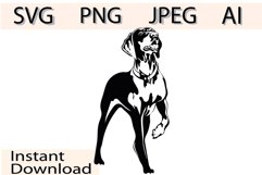 Redbone Coonhound SVG/Dog Svg/Png/Jpg/Ai/Purebred breed Svg Product Image 1