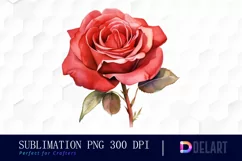 Watercolor Valentine Red Roses Clipart, Illustration PNG Product Image 1