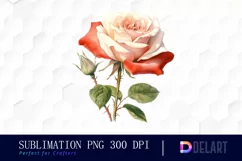 Watercolor Vintage Valentine Rose Clipart, Sublimation Art Product Image 1