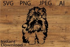 Rocky Mountain Beaver Terrier/Dog Svg/Png/Jpg/Ai/Vector Dog Product Image 1