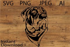 Bullmastiff dog/Mastife/Dog Svg/Png/Jpg/Ai/Vector dog/Pet Product Image 1