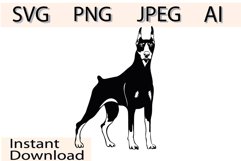 Doberman dog/Dog Svg/Png/Jpg/Ai/Vector purebred breed/Pet Product Image 1
