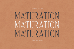 Maturation Elegant Serif Font Family Dots Edition Product Image 1