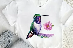 Watercolor Cute Hummingbird PNG Clipart Product Image 2