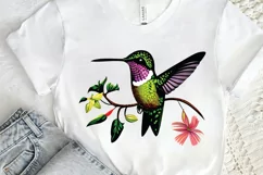 Watercolor Cute Hummingbird PNG Clipart Product Image 2
