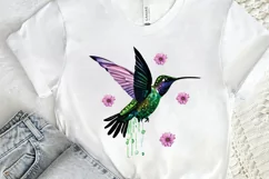 Watercolor Cute Hummingbird PNG Clipart Product Image 2
