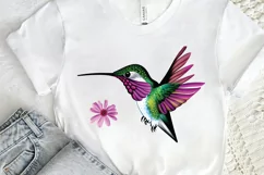 Watercolor Cute Hummingbird PNG Clipart Product Image 2