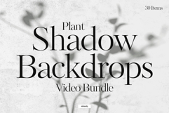Plant Shadow Backdrops Video Bundle Product Image 1