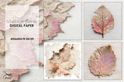 Vintage floral digital paper Product Image 1