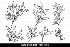 Leaves SVG, Branches SVG, Leaf SVG Product Image 1