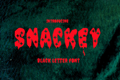 snackey Product Image 1