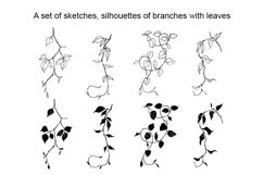A set of sketches, silhouettes of branches with leaves. Product Image 1