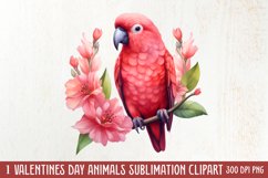 Valentines Day Animals Clipart, Valentines Couple Product Image 1