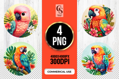 Colorful Parrot Clipart Sublimation PNG Product Image 1
