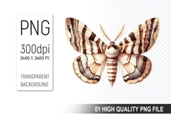 Cute Butterfly Clipart PNG, Valentine&#039;s Day Animal PNG File Product Image 1