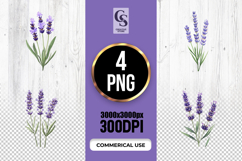 Watercolor Lavender Flower Clipart Sublimation PNG Product Image 1
