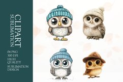 Watercolor owl clipart sublimation png Product Image 1