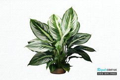 Houseplants Pot Sublimation PNG Clipart Product Image 1