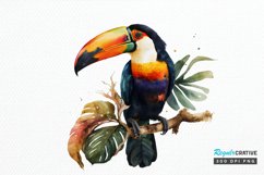 Watercolor Toucans PNG Clipart Product Image 1