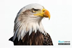 Sketch 4th of july PNG Clipart Product Image 1
