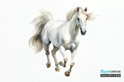 Beautiful White Horse Watercolo PNG Clipart Product Image 1