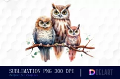 Watercolor Family Of Three Owls Sublimation Art Product Image 1