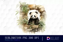 Watercolor Hiding Baby Panda PNG Clipart Product Image 1