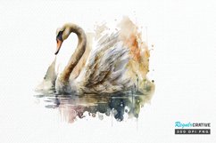 Watercolor Swan PNG Clipa Product Image 1
