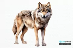 Sketch 4th of july PNG Clipart Product Image 1