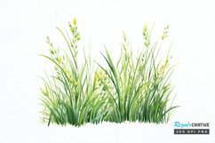 Grass Watercolor Sublimation PNG Clipart Product Image 1