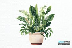Houseplants Pot Sublimation PNG Clipart Product Image 1