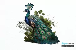 Watercolor Peacock clipart png clipart Product Image 1
