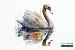 Watercolor Swan PNG Clipa Product Image 1