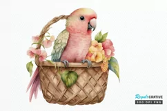 Watercolor Cute Pink Parrot in Basket PNG Clipart Product Image 1