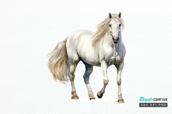 Beautiful White Horse Watercolo PNG Clipart Product Image 1