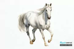 Beautiful White Horse Watercolo PNG Clipart Product Image 1