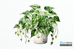Houseplants Pot Sublimation PNG Clipart Product Image 1